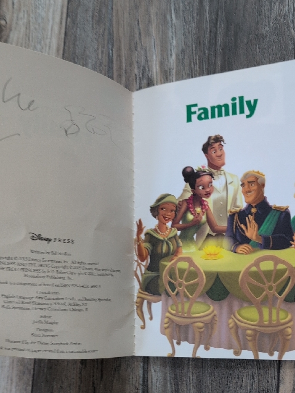 DISNEY Book Bundle of 4 Books Zootopia Encanton Princess and The Frog - Picture 6 of 6